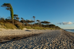 Weststrand Darss