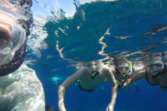 DCIM\100GOPRO\GOPR0195.