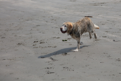 Schmuddel Lieschen